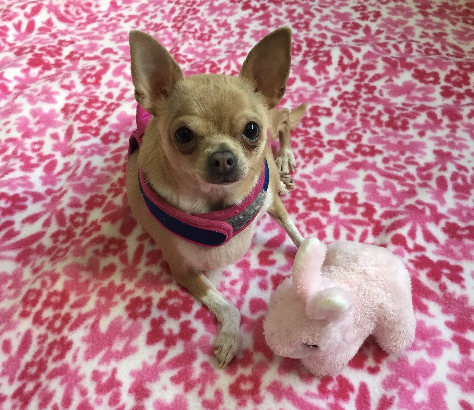 image_123650291 (10)